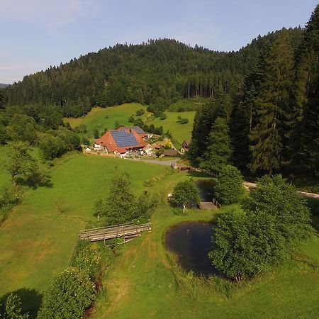 Apartamento Müllerjörgenhof Gutach Exterior foto