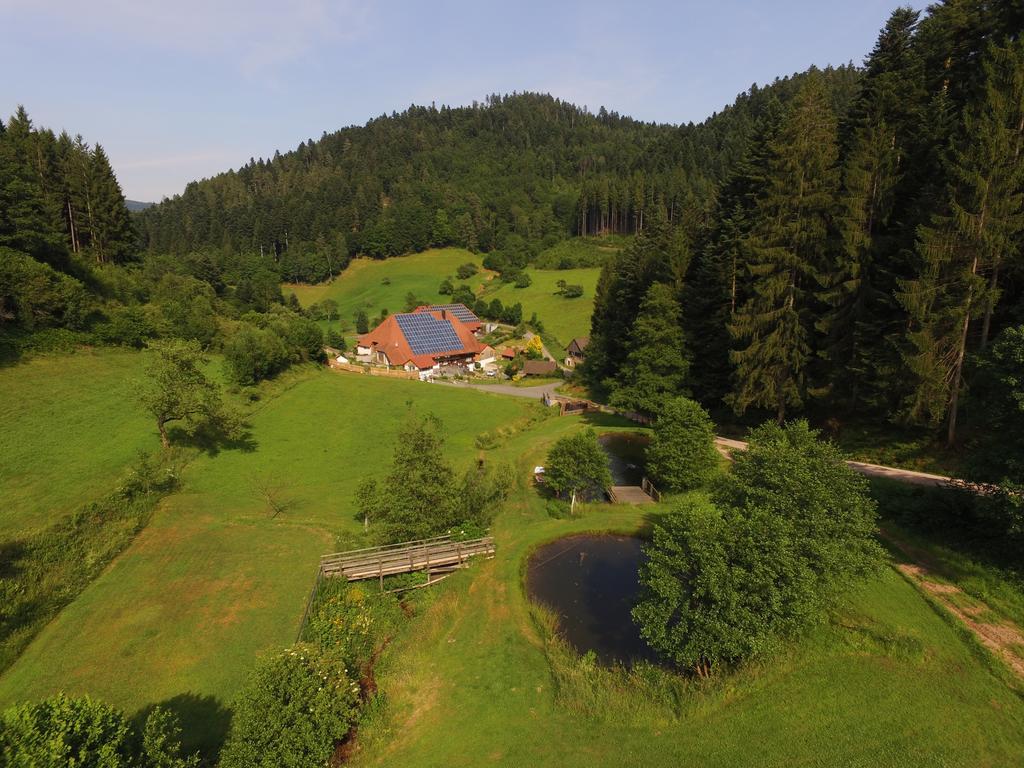 Apartamento Müllerjörgenhof Gutach Exterior foto