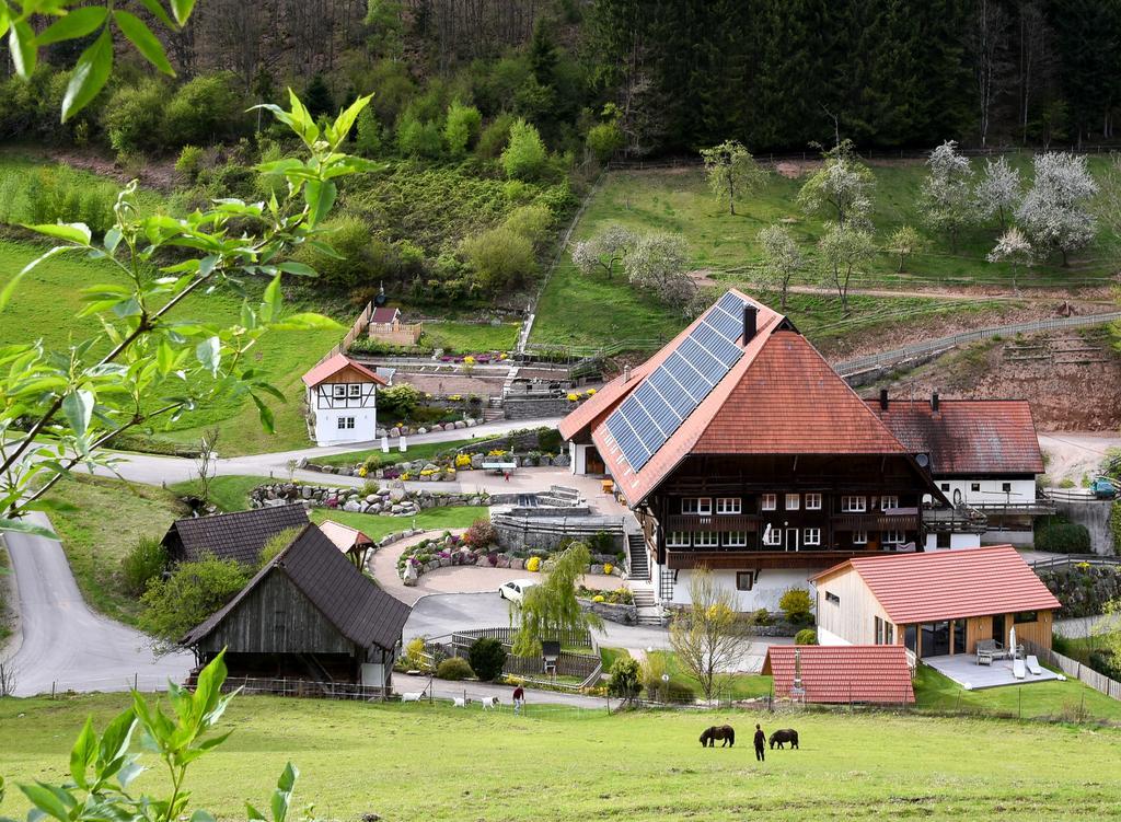 Apartamento Müllerjörgenhof Gutach Exterior foto